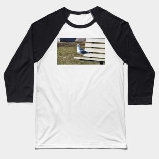 A Gull Standing On A Bench Baseball T-Shirt